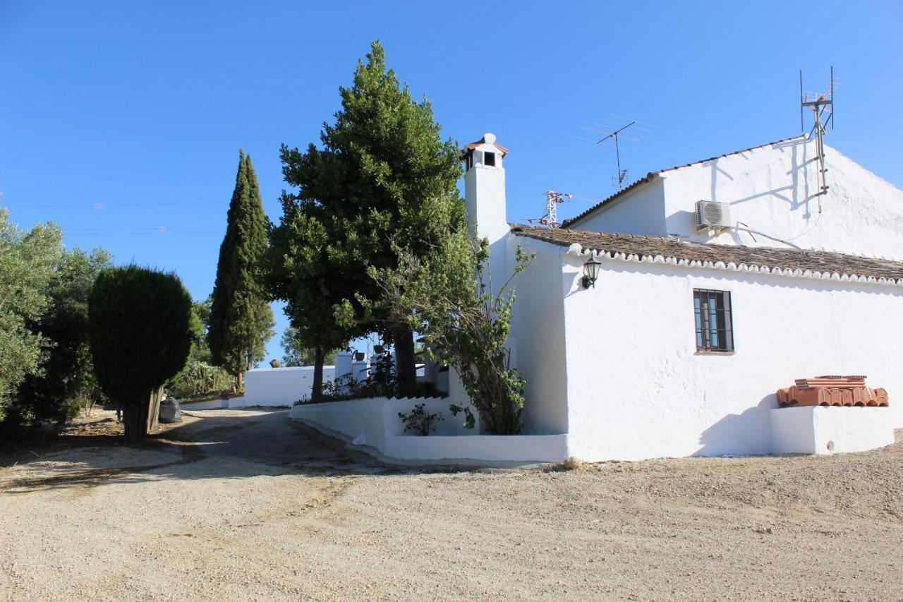 Casa Rural Faltriquera Setenil Setenil De Las Bodegas Bagian luar foto