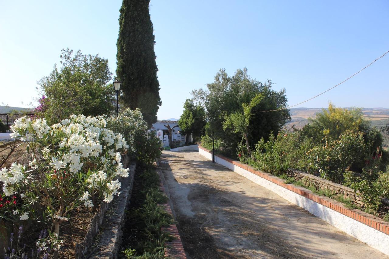 Casa Rural Faltriquera Setenil Setenil De Las Bodegas Bagian luar foto