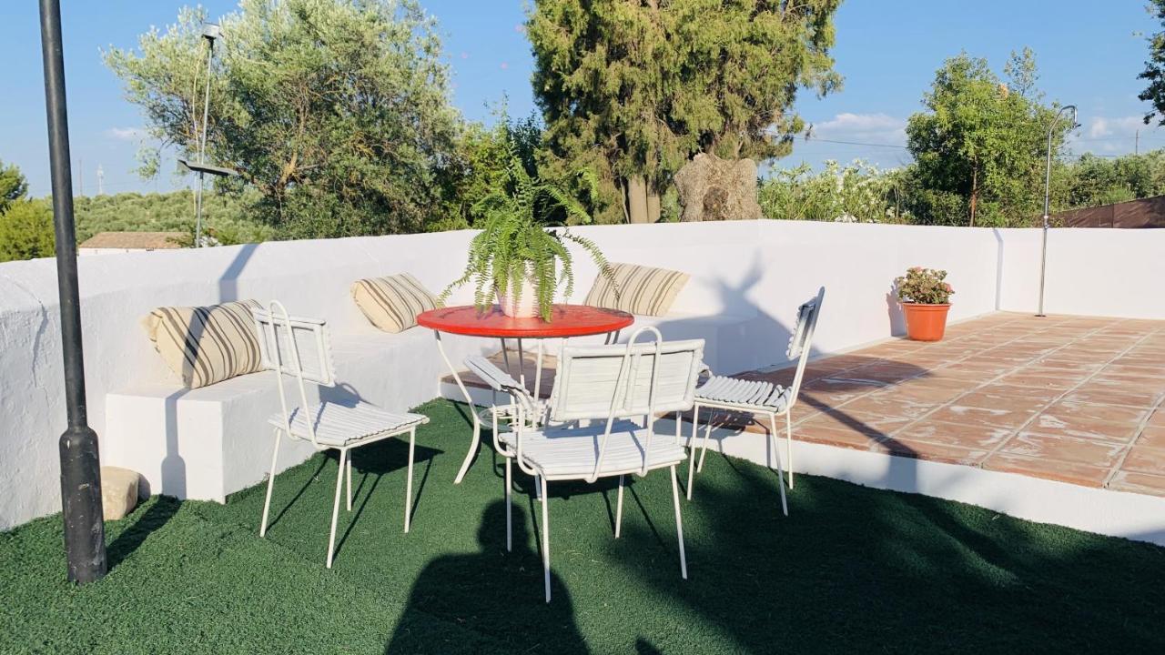 Casa Rural Faltriquera Setenil Setenil De Las Bodegas Bagian luar foto