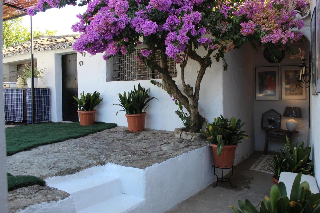 Casa Rural Faltriquera Setenil Setenil De Las Bodegas Bagian luar foto